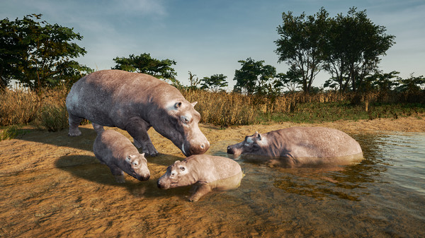 Animalia New African Skins