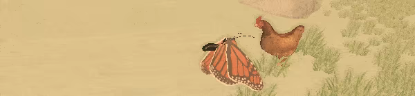 A Butterfly's Dream video 4