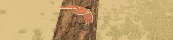 A Butterfly's Dream video 3