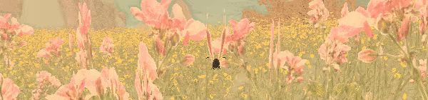 A Butterfly's Dream video 1