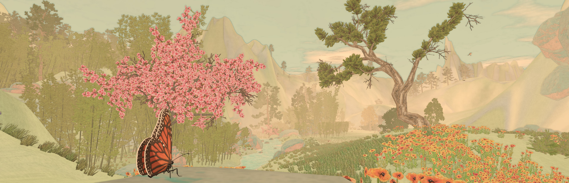 A Butterfly's Dream