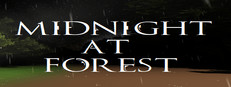 Midnight at Forest