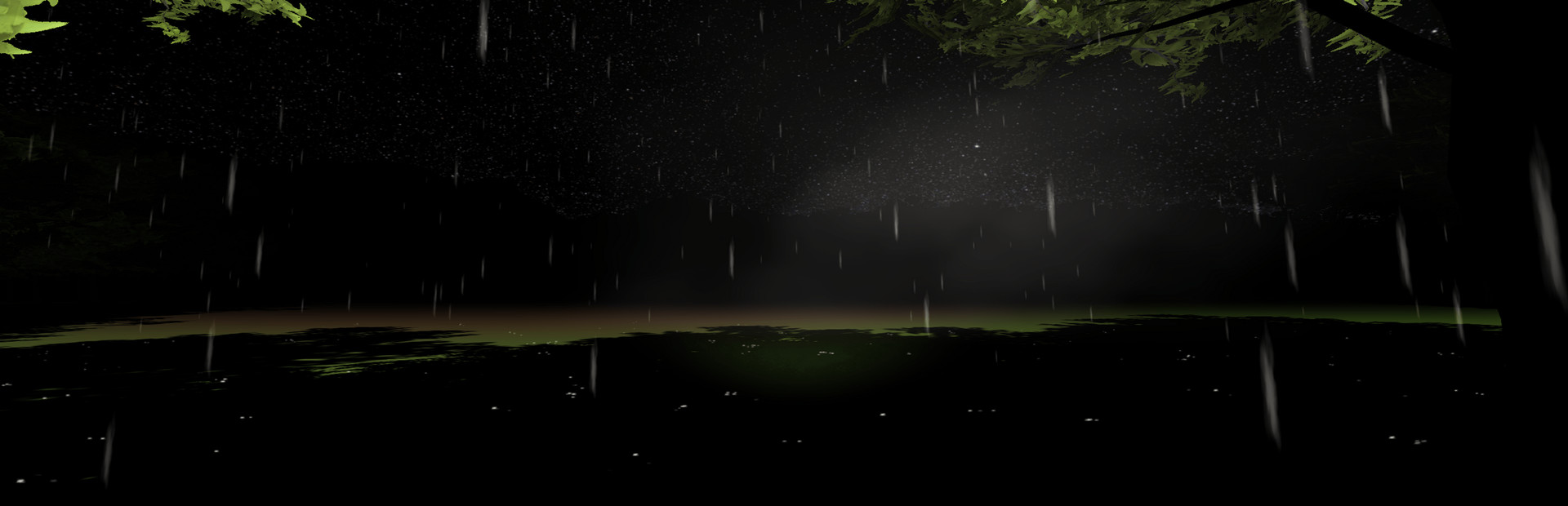 Midnight at Forest