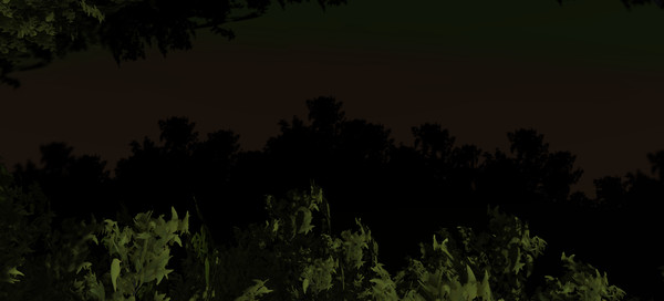 Midnight at Forest screenshot 4