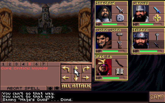 Eye of the Beholder III: Assault on Myth Drannor