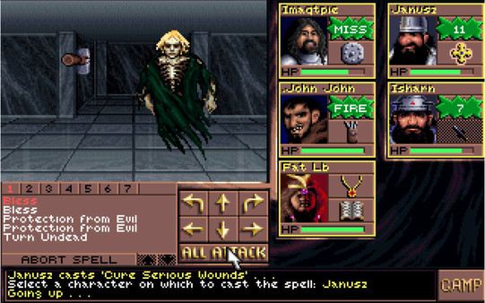 Eye of the Beholder III: Assault on Myth Drannor