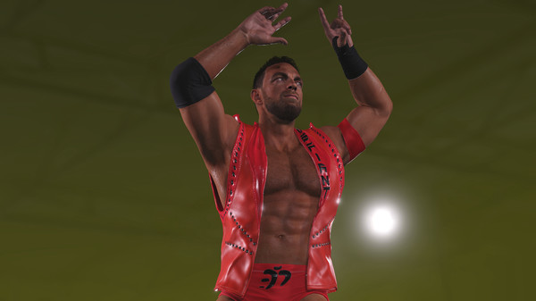 WWE 2K22 - The Whole Dam Pack