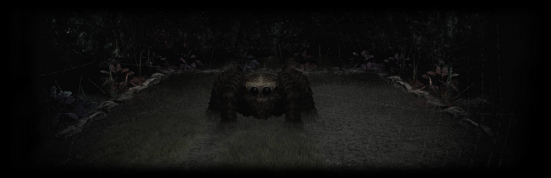 Your Spider