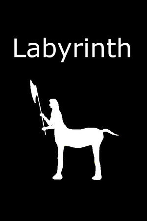 Обложка Labyrinth