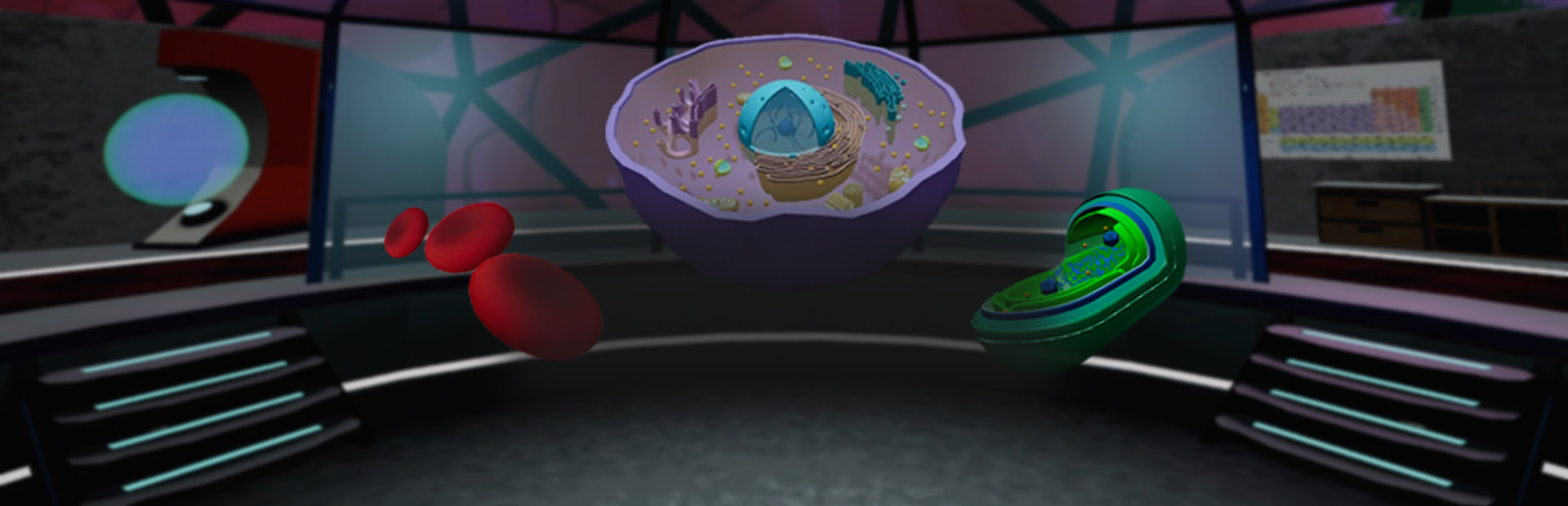 Looking Inside Cells