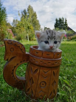 Скриншот