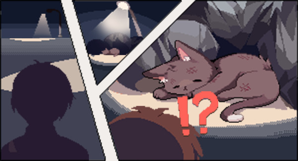 I got a millenary cat — 1