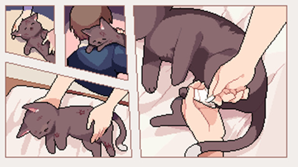 I got a millenary cat — 2