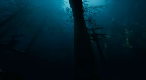 ILL NESS video 2