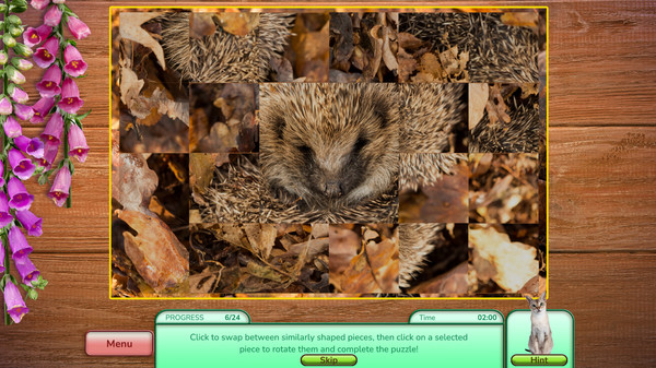 Thumbnail 5