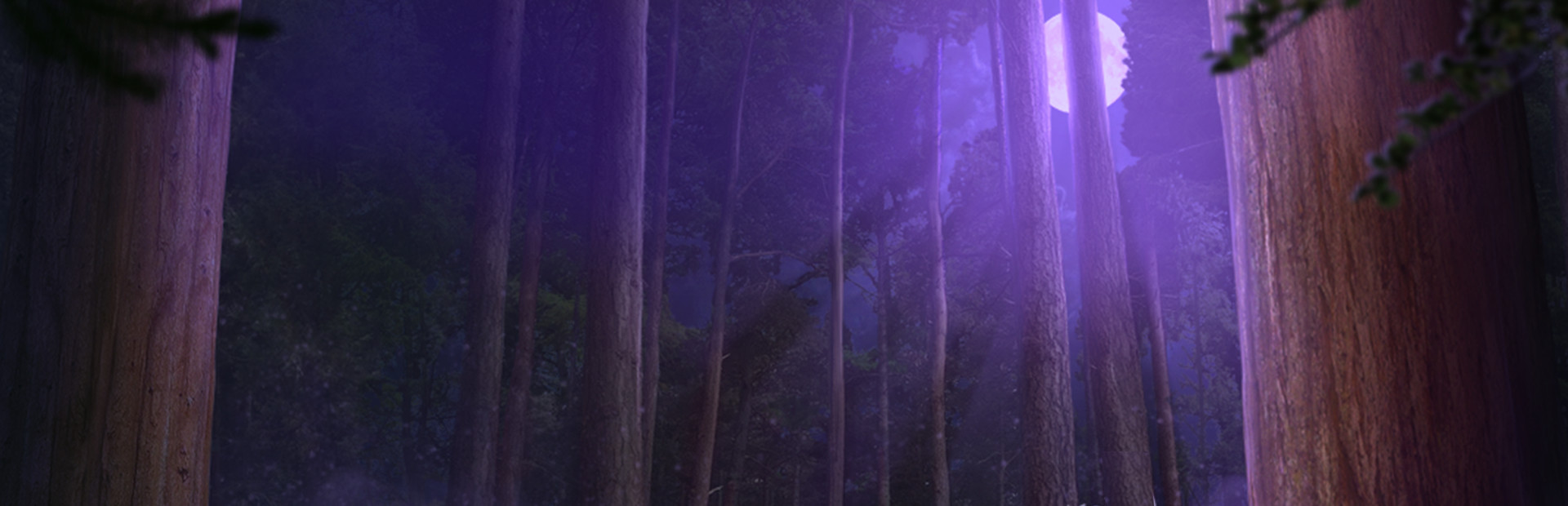 Edge of Reality: Lost Secrets of the Forest Collector's Edition