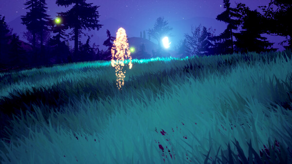 Thumbnail 13
