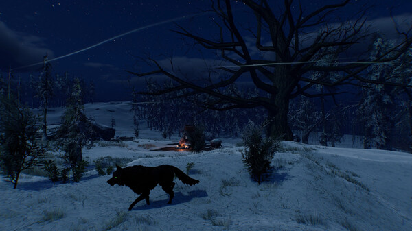 Thumbnail 13