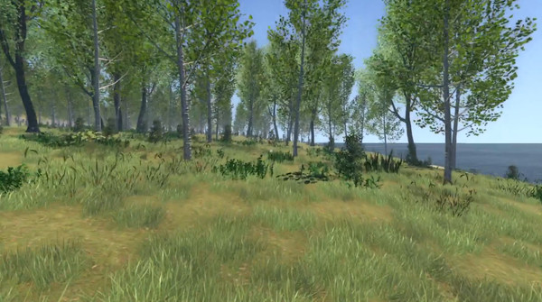 Thumbnail 11
