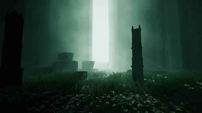 The Silent Swan video 9