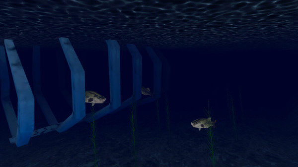 Fish Cymophis screenshot 6