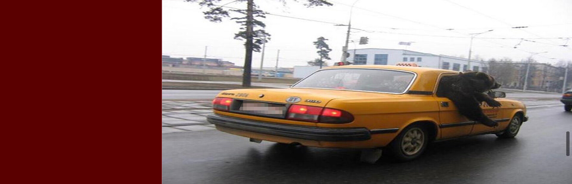 Slav or Not