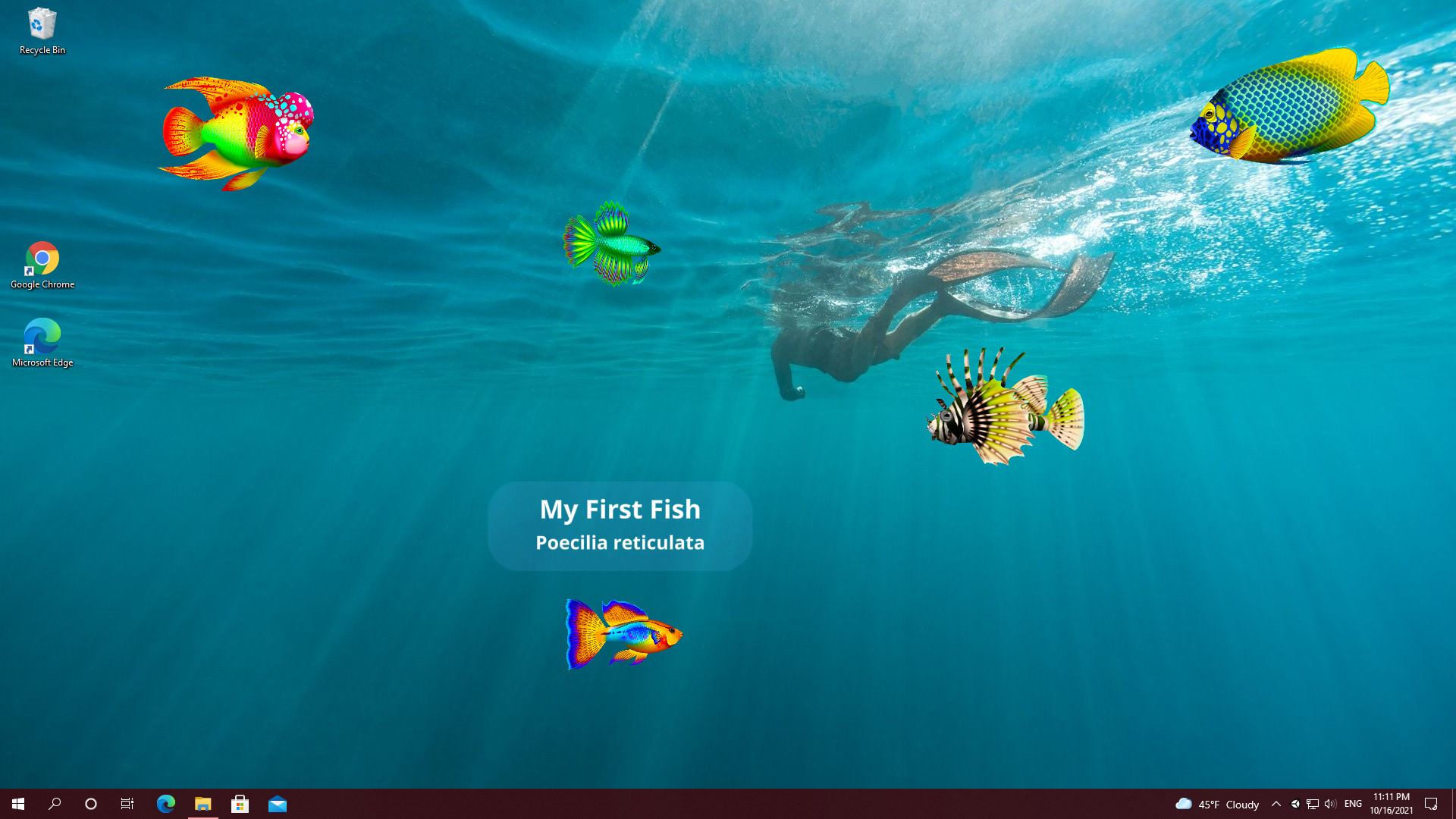 Virtual Aquarium - DLC Pack 3 Featured Screenshot #1