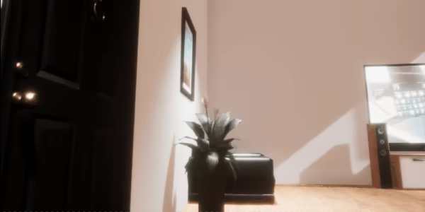 Fireworks Show VR video 10