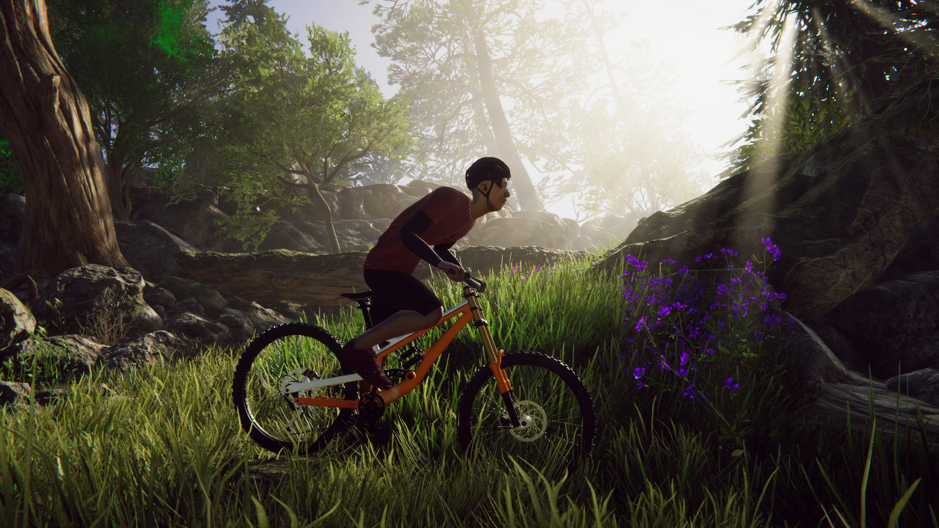 Bicycle Rider Simulator в Steam