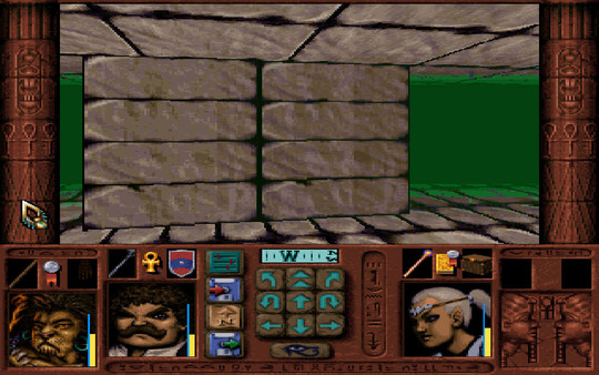 Screenshot z Dungeons & Dragons: Ravenloft Series