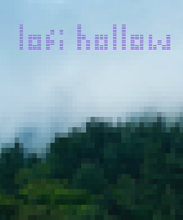 Lofi Hollow