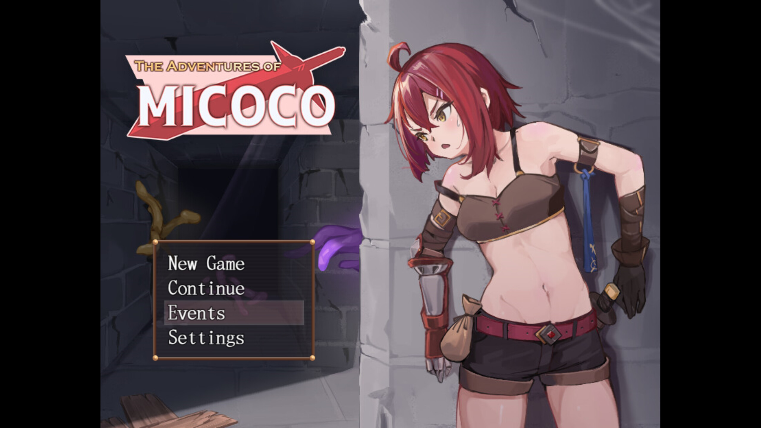 The Adventures of MICOCO