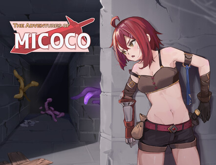 The Adventures of MICOCO