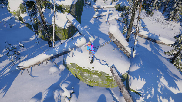 Snowtracked screenshot 6
