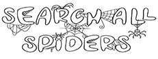 SEARCH ALL - SPIDERS
