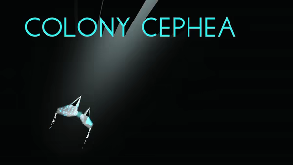Colony Cephea video 1