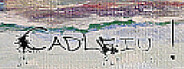 Capsule media