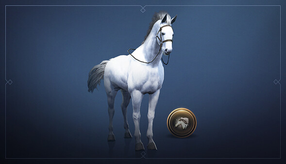[NA/EU] Black Desert - Traveler to Explorer