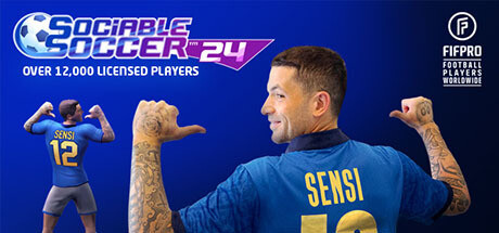 Image for Sociable Soccer 24