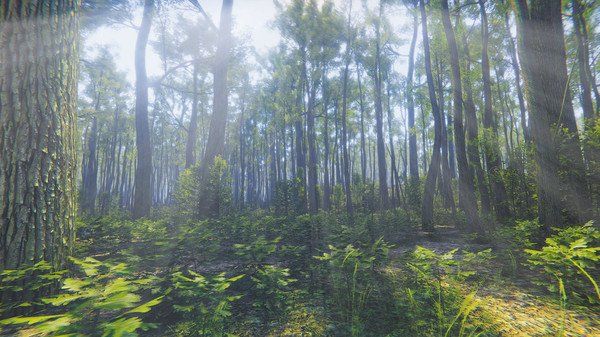 Thumbnail 13