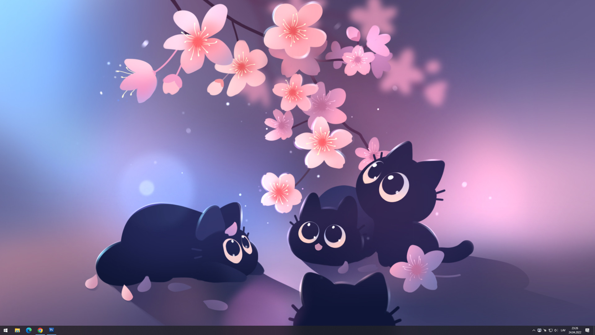 Kiku Wallpaper Launcher - Hanami Wallpaper Featured Screenshot #1