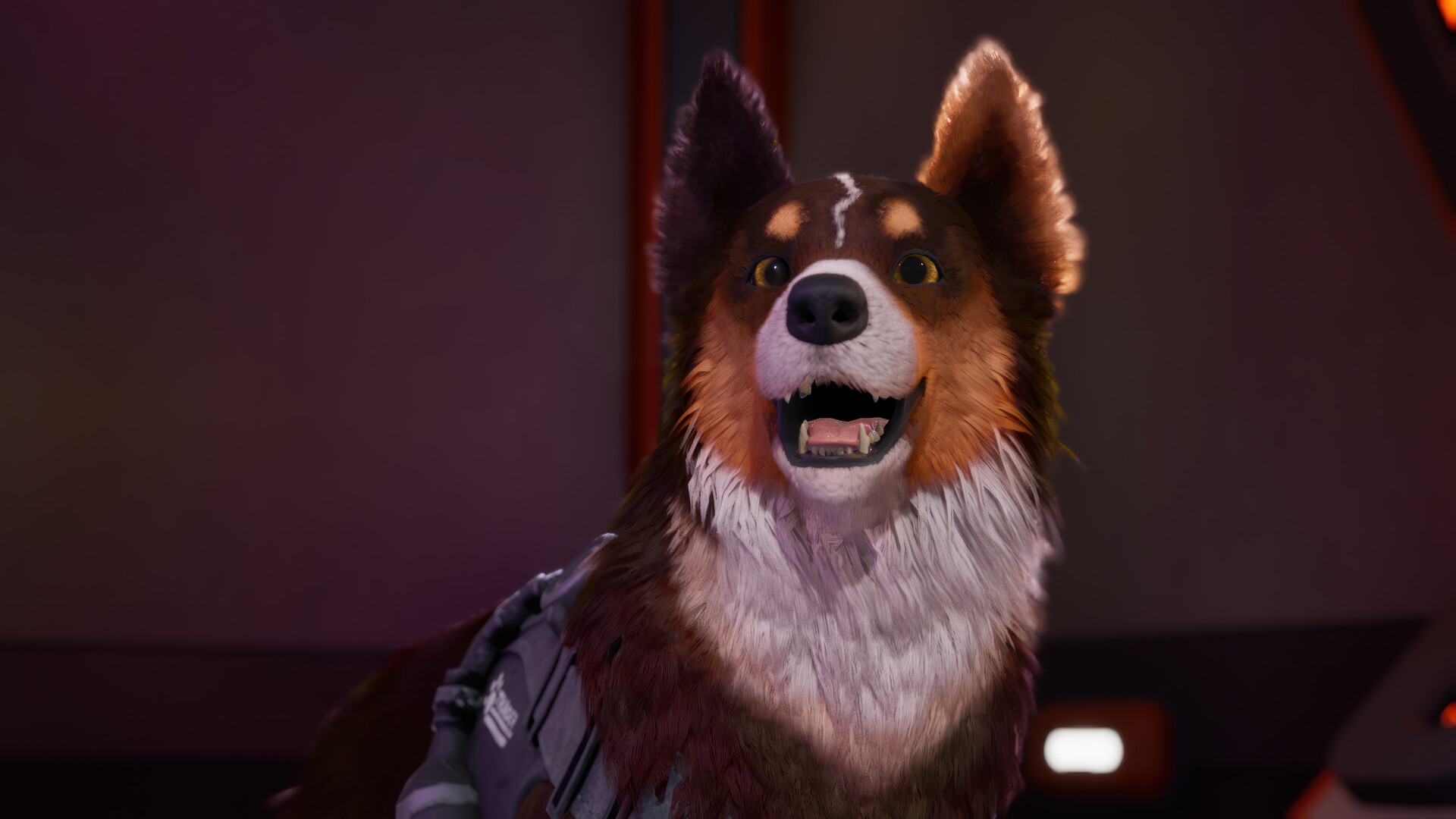 Barkour screenshot 6