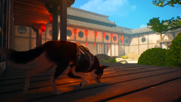 Barkour