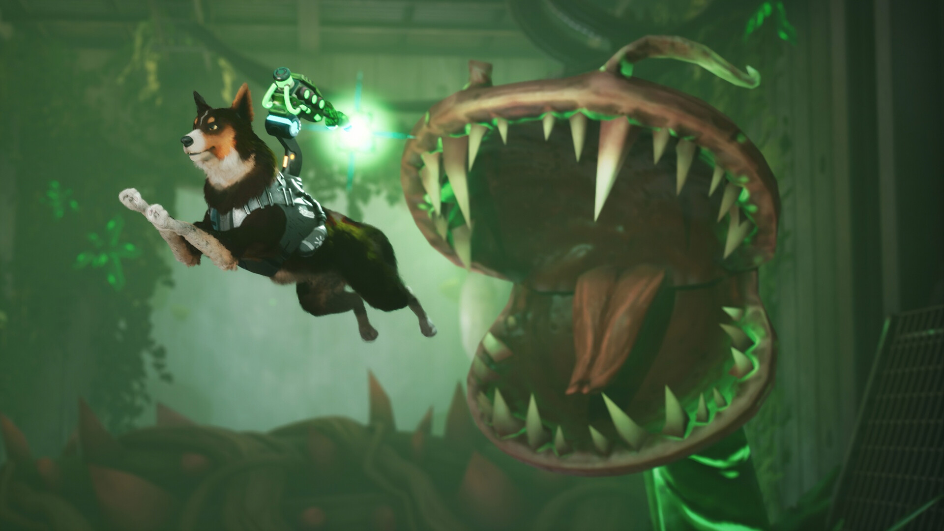 Barkour screenshot #3