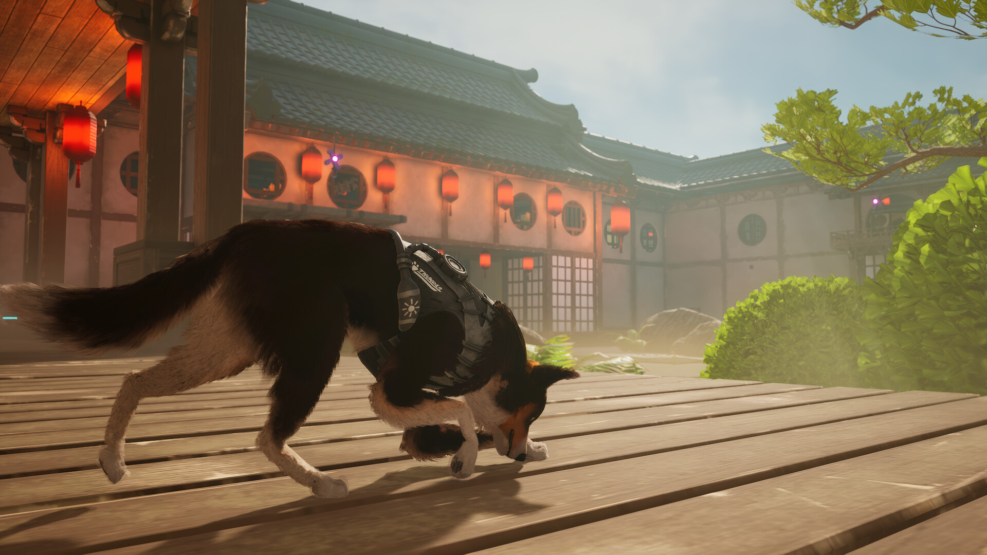 Barkour screenshot 10