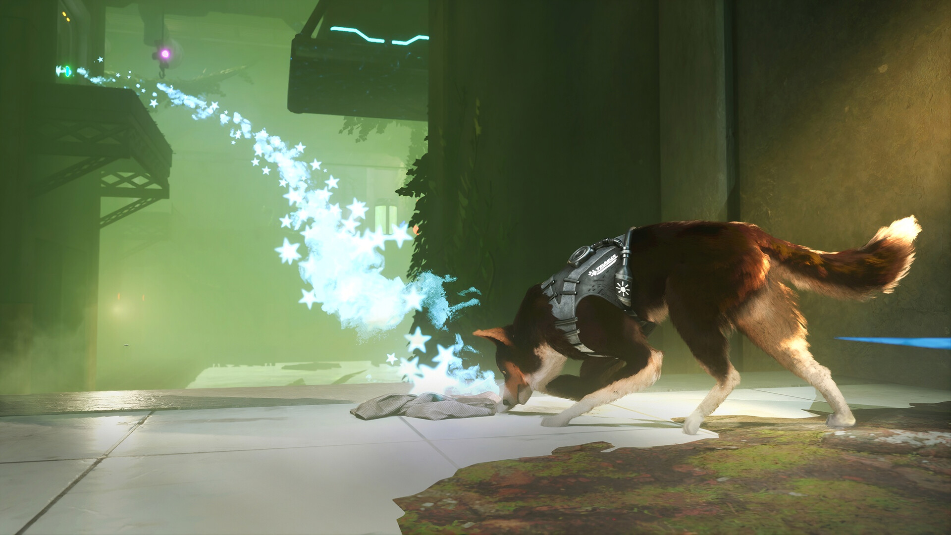 Barkour screenshot #9