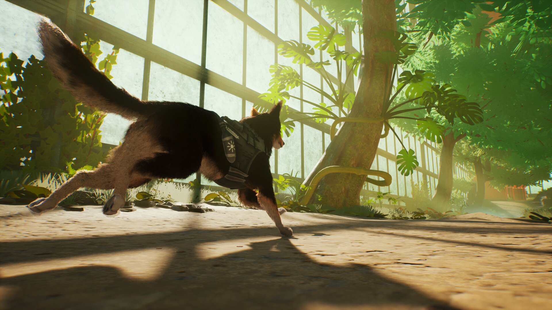 Barkour screenshot #6
