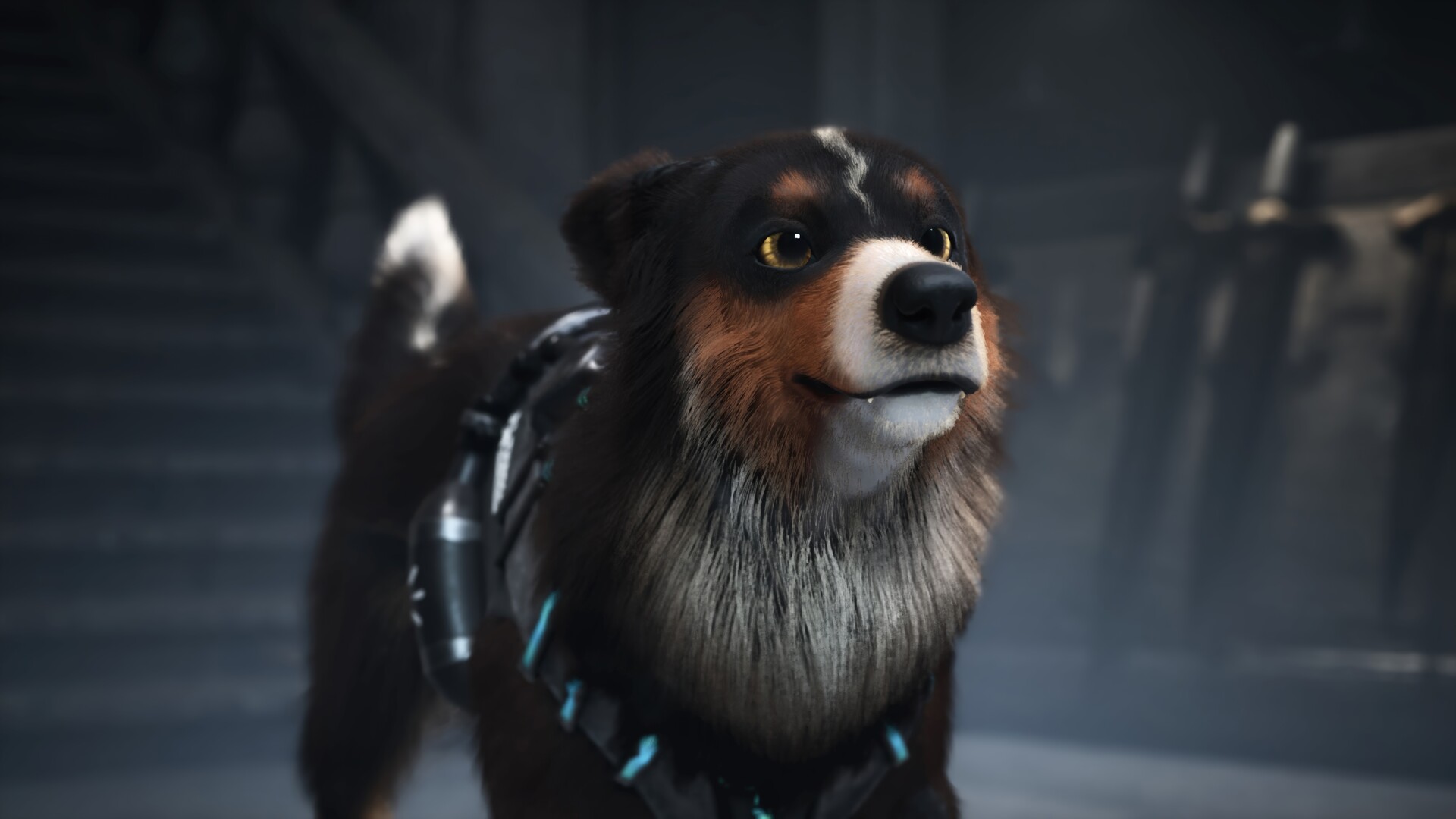 Barkour screenshot 12