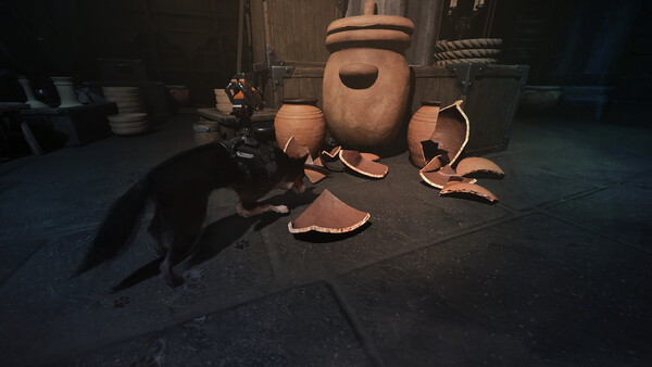 Screenshot 16