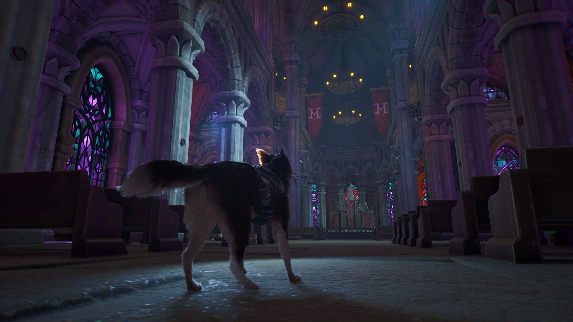 Barkour screenshot #2